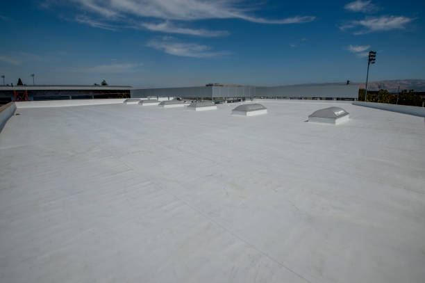 Best Roof Insulation Installation  in Blplay, AL